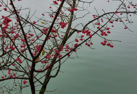 thereseundluise-bettina-hirtreiter-nachhaltige-brautmode-naturmoods-01