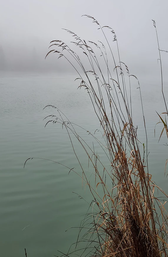 thereseundluise-bettina-hirtreiter-nachhaltige-brautmode-naturmoods-02